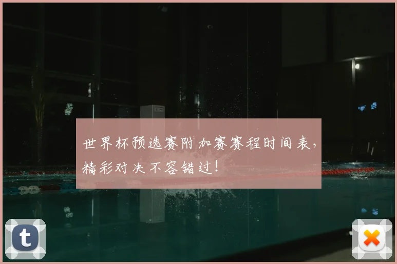 世界杯预选赛附加赛赛程时间表,精彩对决不容错过!