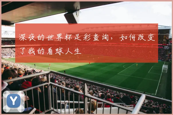 深夜的世界杯足彩查询，如何改变了我的看球人生