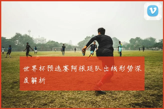 世界杯预选赛阿根廷队出线形势深度解析