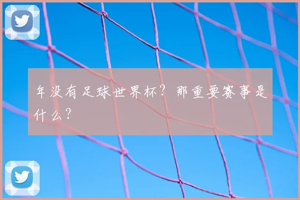 年没有足球世界杯？那重要赛事是什么？