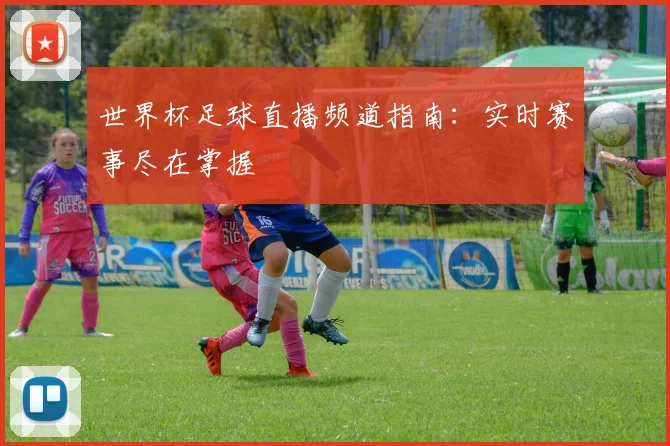 世界杯足球直播频道指南：实时赛事尽在掌握