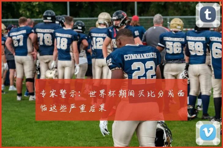 专家警示：世界杯期间买比分或面临这些严重后果