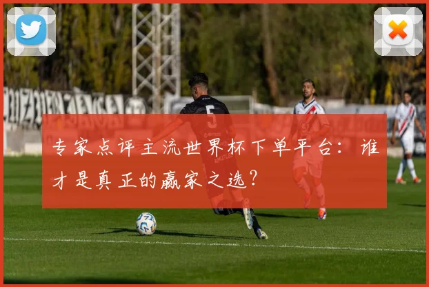 专家点评主流世界杯下单平台：谁才是真正的赢家之选？