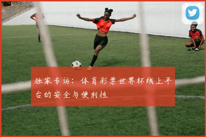 独家专访：体育彩票世界杯线上平台的安全与便利性
