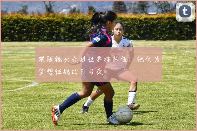 跟随镜头走进世界杯队伍：他们为梦想征战的日与夜