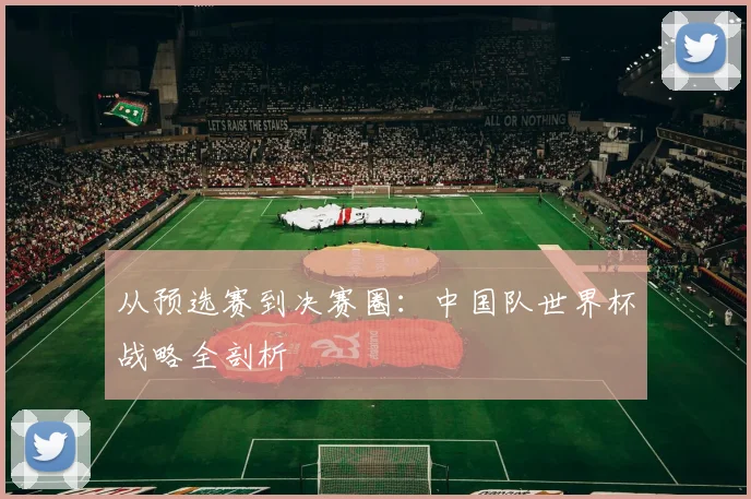从预选赛到决赛圈：中国队世界杯战略全剖析