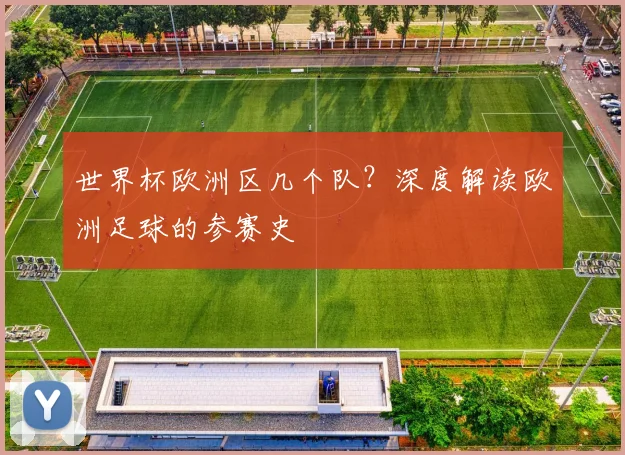 世界杯欧洲区几个队？深度解读欧洲足球的参赛史